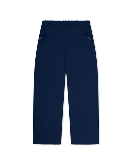 Hiking Nylon Pants Navy back